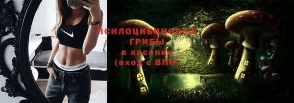 эйфоретик Абаза