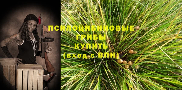 эйфоретик Абаза